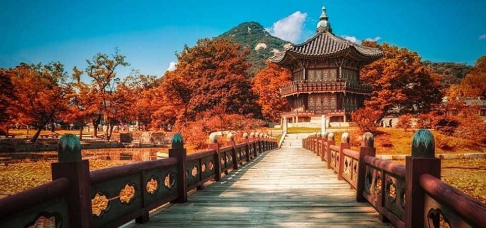 Du Học Hàn Quốc Có Những Hệ Nào?